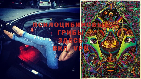 каннабис Алексеевка