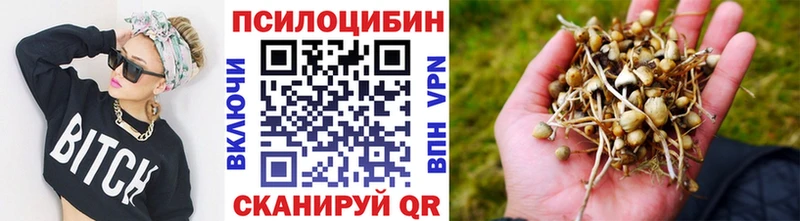 сколько стоит  Люберцы  Псилоцибиновые грибы мицелий 