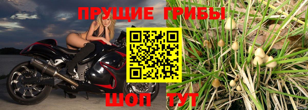 Псилоцибиновые грибы GOLDEN TEACHER Люберцы