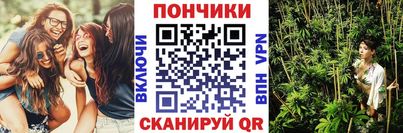 Каннабис Amnesia  магазин продажи   omg ONION  Люберцы 